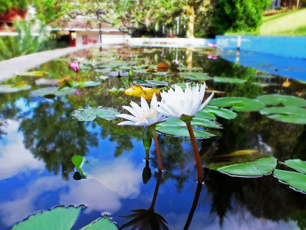 Royal Kalaw Hills Resort Dış mekan fotoğraf